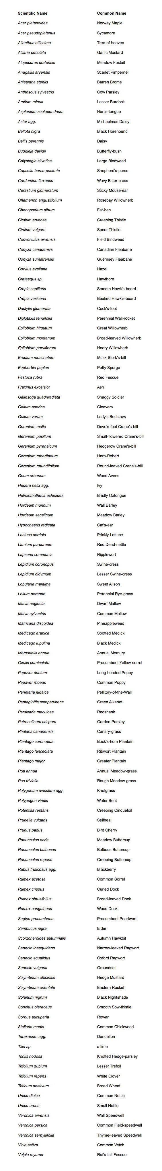 Achilles Street flora.xls3