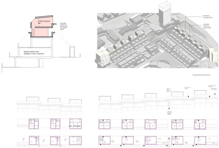 ASH, Site 16. Roof Extensions: Section and Plan