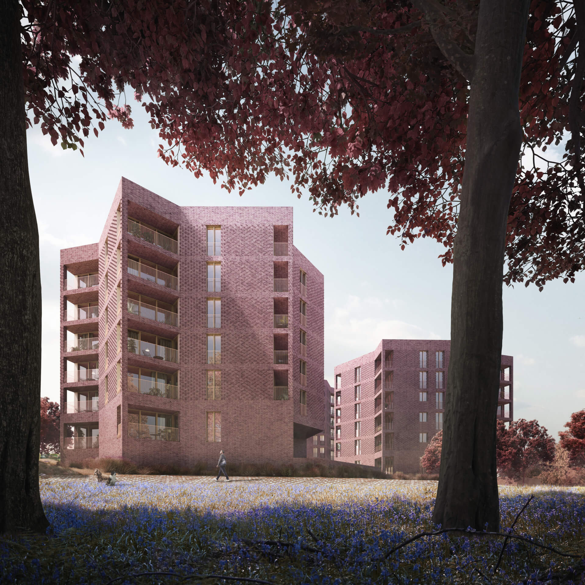 Mary Duggan Architects